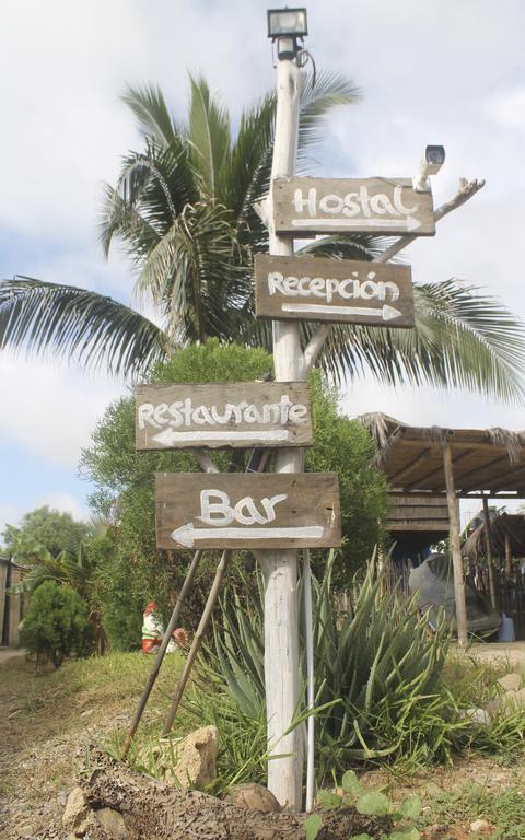 Psygon Surf Camp Hostel Máncora Exterior foto